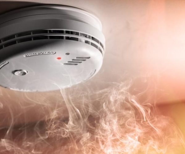 5e638c67-9a9a-43aa-ab97-fa204987bb0c